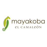 El Camaleon Mayakoba Golf Club MexicoMexicoMexicoMexicoMexicoMexicoMexicoMexicoMexicoMexico golf packages